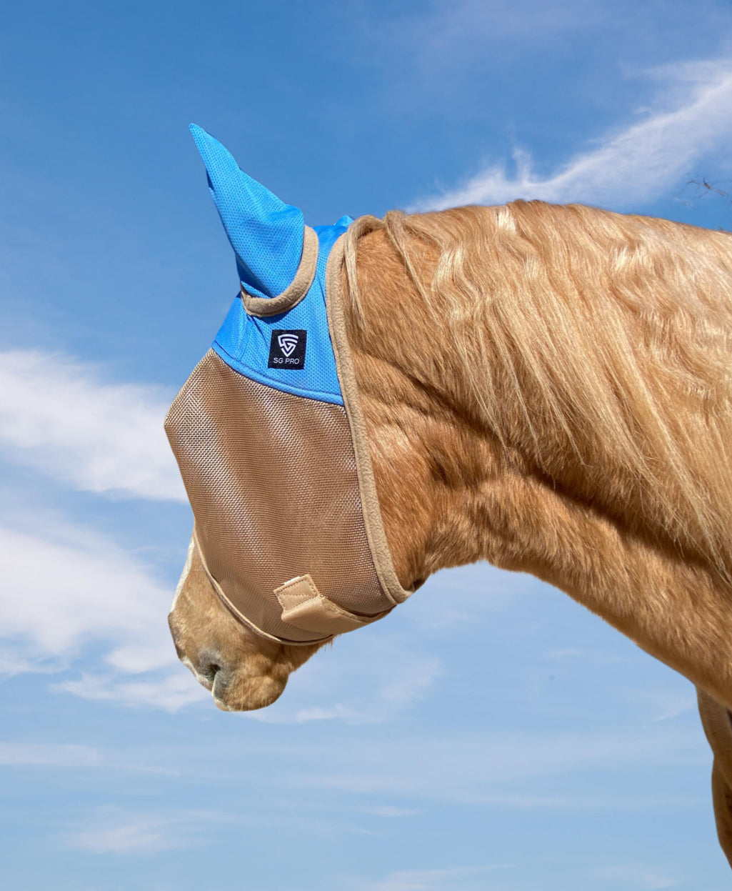 Máscaras contra moscas para tu Caballo [Azul]